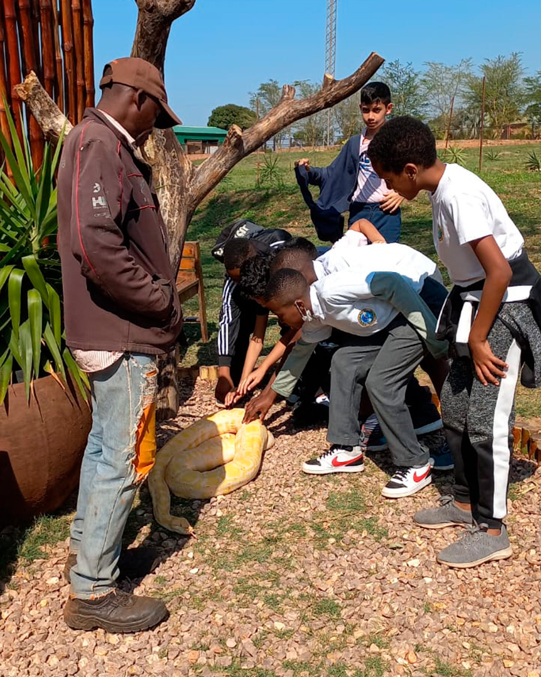 Pequenos Sábios exploram o mhmfarms